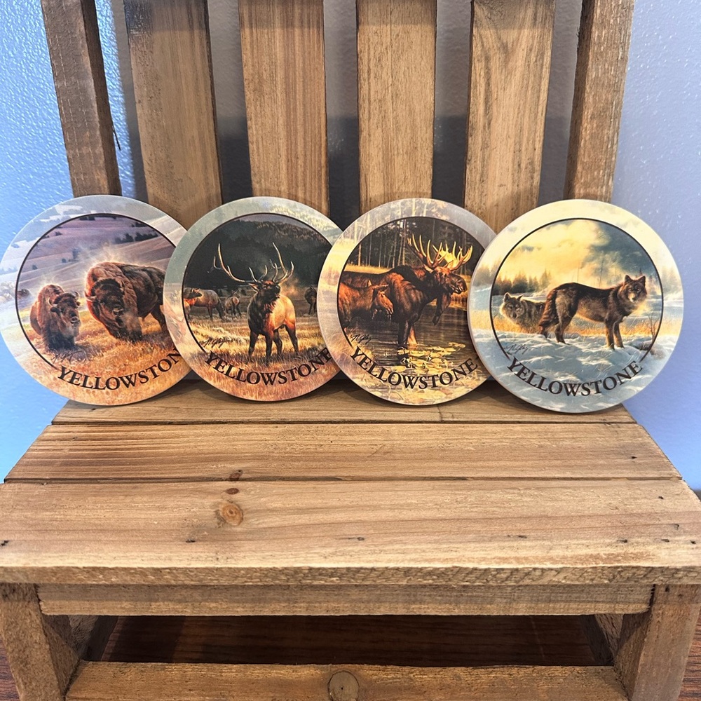 Yellowstone coasters
